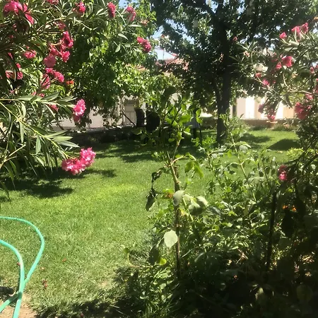 Family Cave Отель Гореме