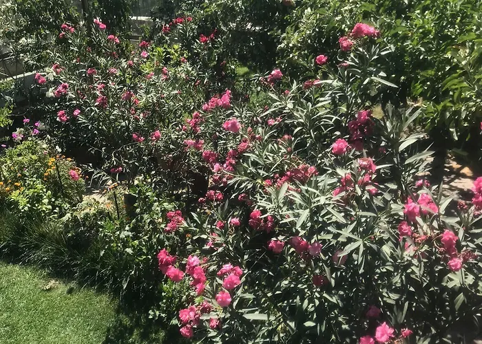 家庭洞穴套房酒店